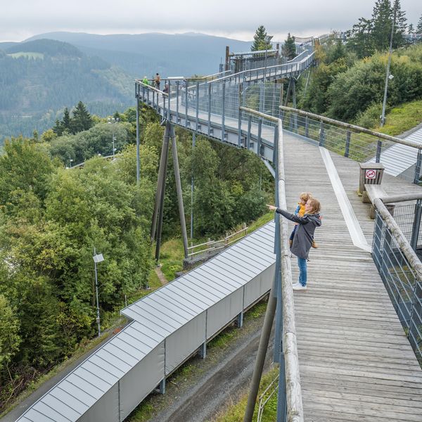 Eine Person steht auf der Panorama Erlebnis Brücke und zeigt in die Ferne